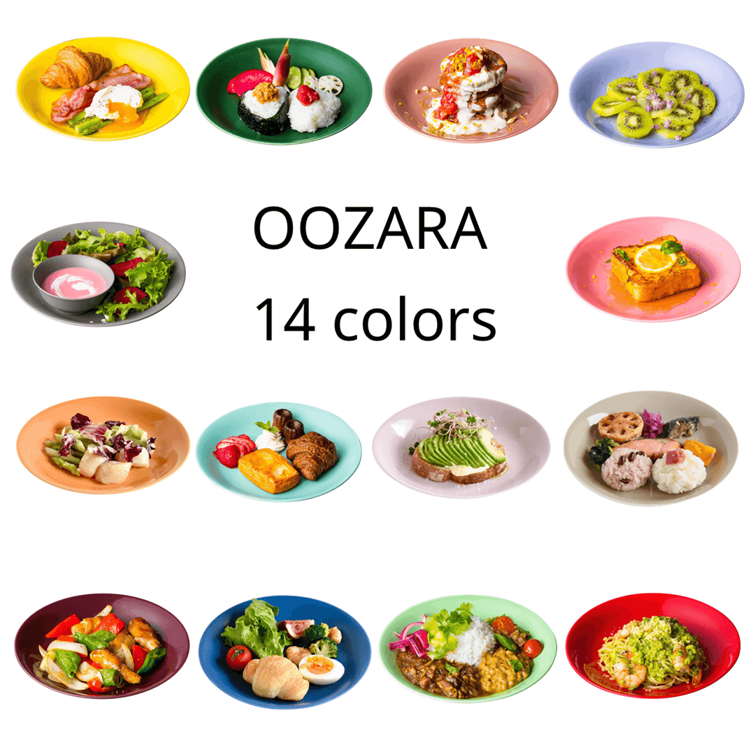 波佐見焼の大皿14色セット